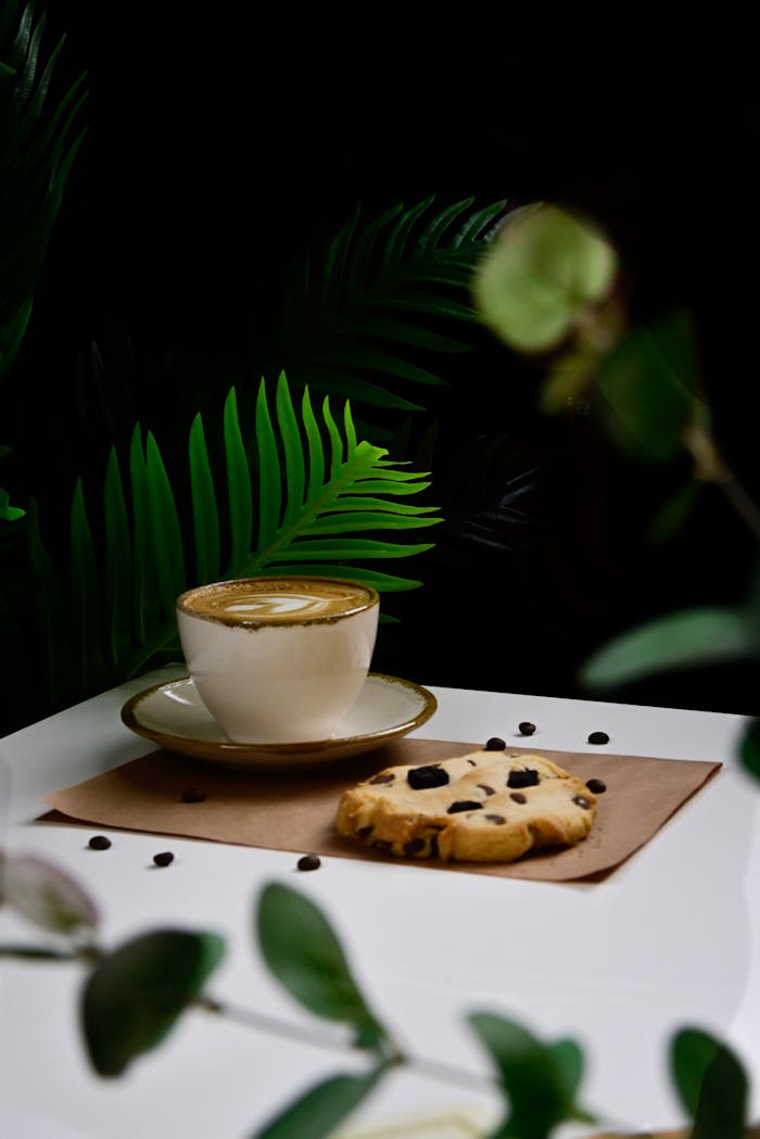 Cappuccino and Cookie